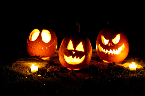 Three pumpkins with Halloween carvings