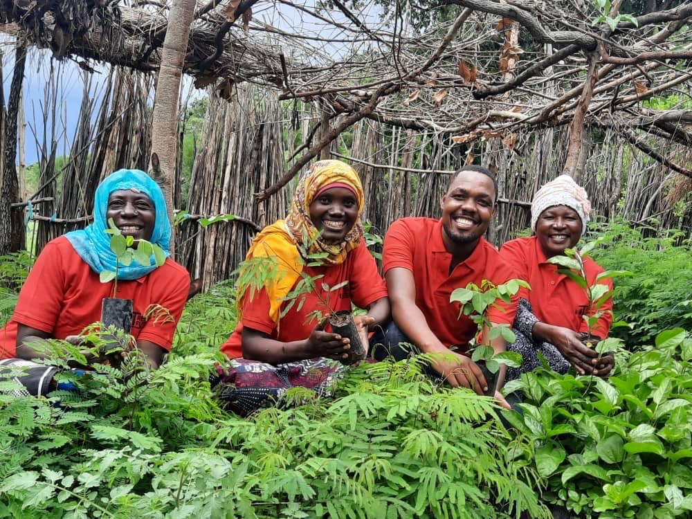 Four workers for Trees for the Future crouching down holding and planting baby trees