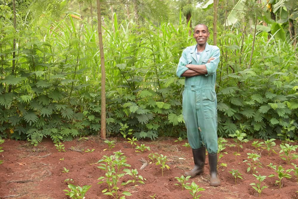 Trees for the Future farmer stood in woodland area surrounded by small growing trees