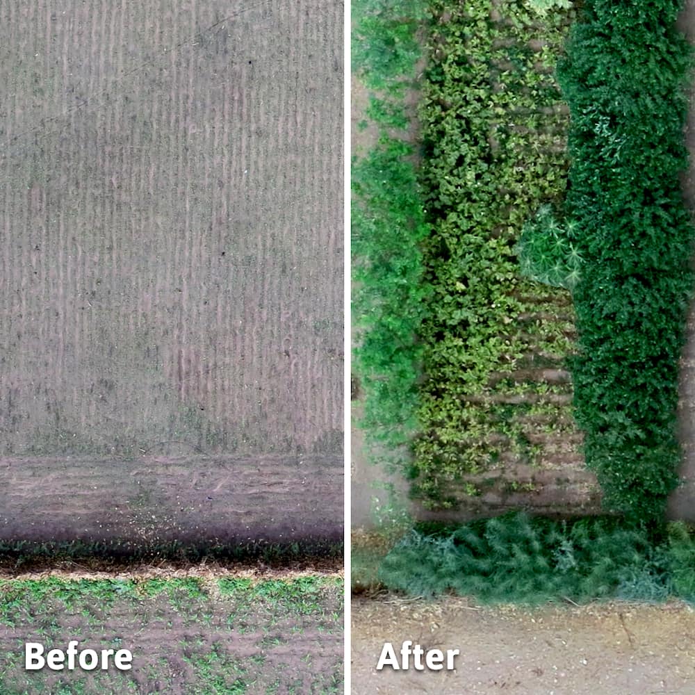 Before and after ariel shot of afforested field