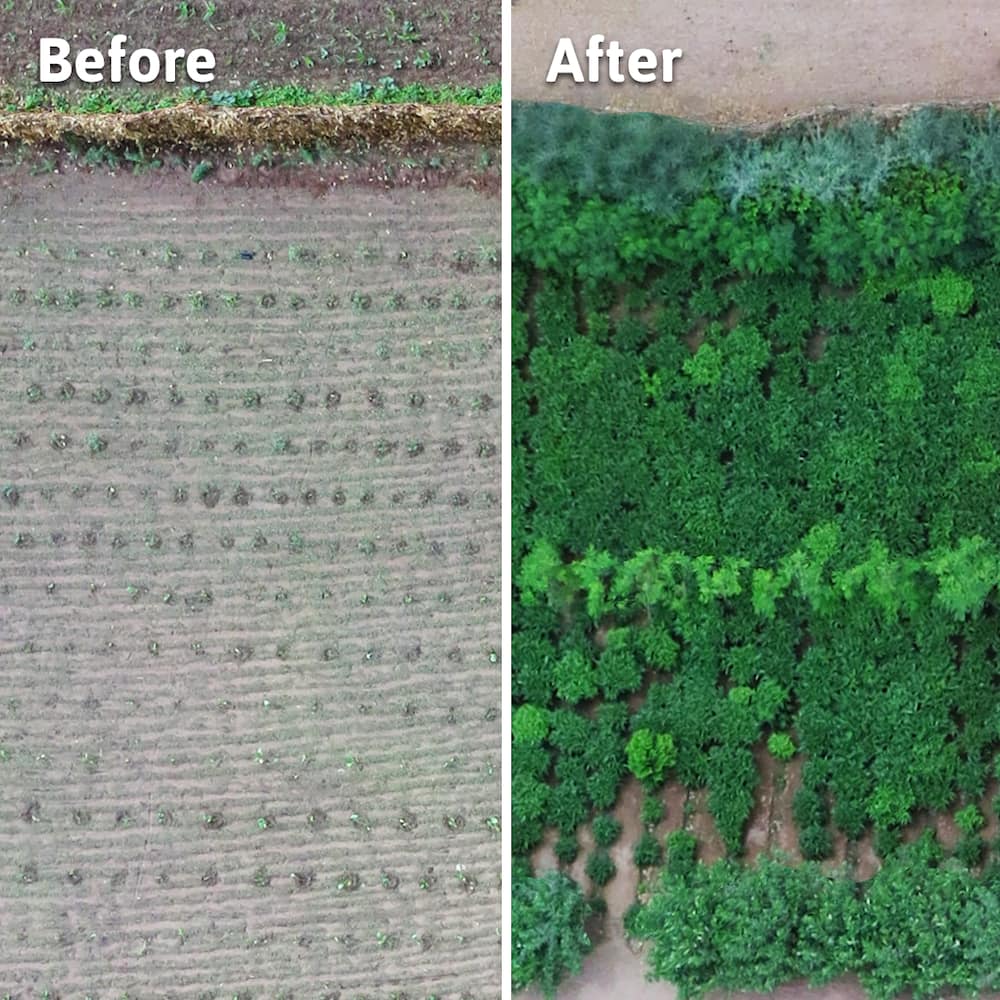 Before and after ariel shot of afforested field