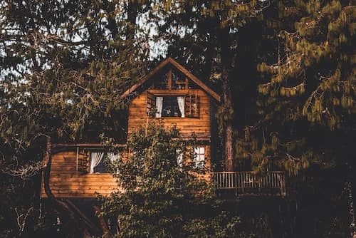 A tree house accommodation with two floors in the woods