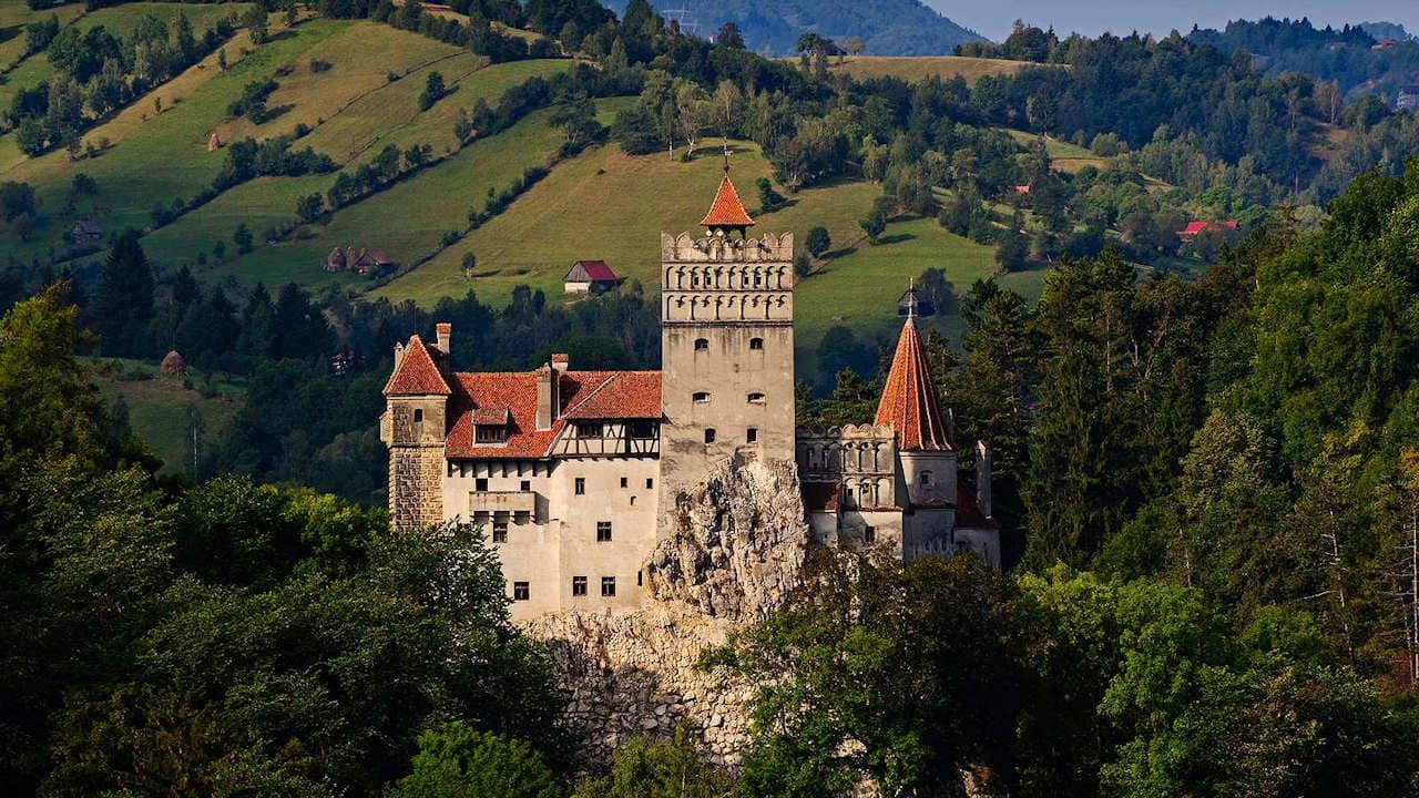 Old castle at top of hill peaking out from the trees that surround it