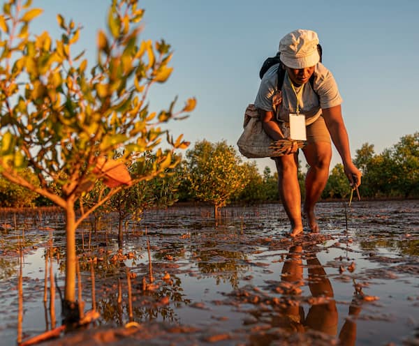 A worker from Eden Reforestation Project