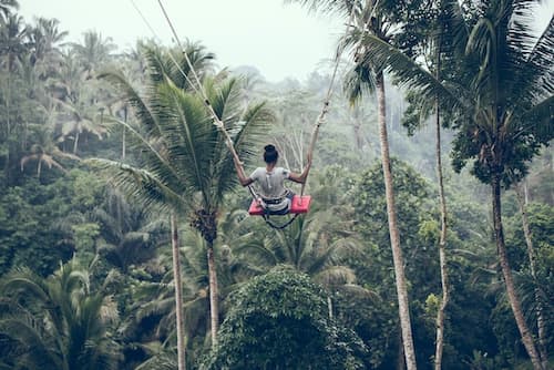 A woman sat on a swing in the jungle