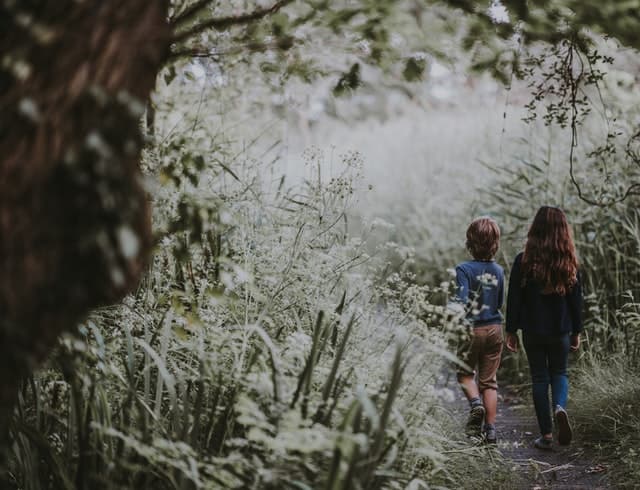 Brother and sister walking on a woodland path in the New Forest