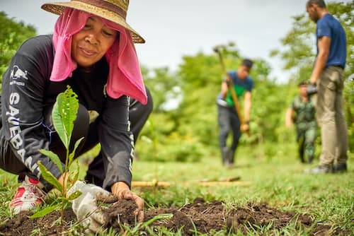 A local farmer planting trees