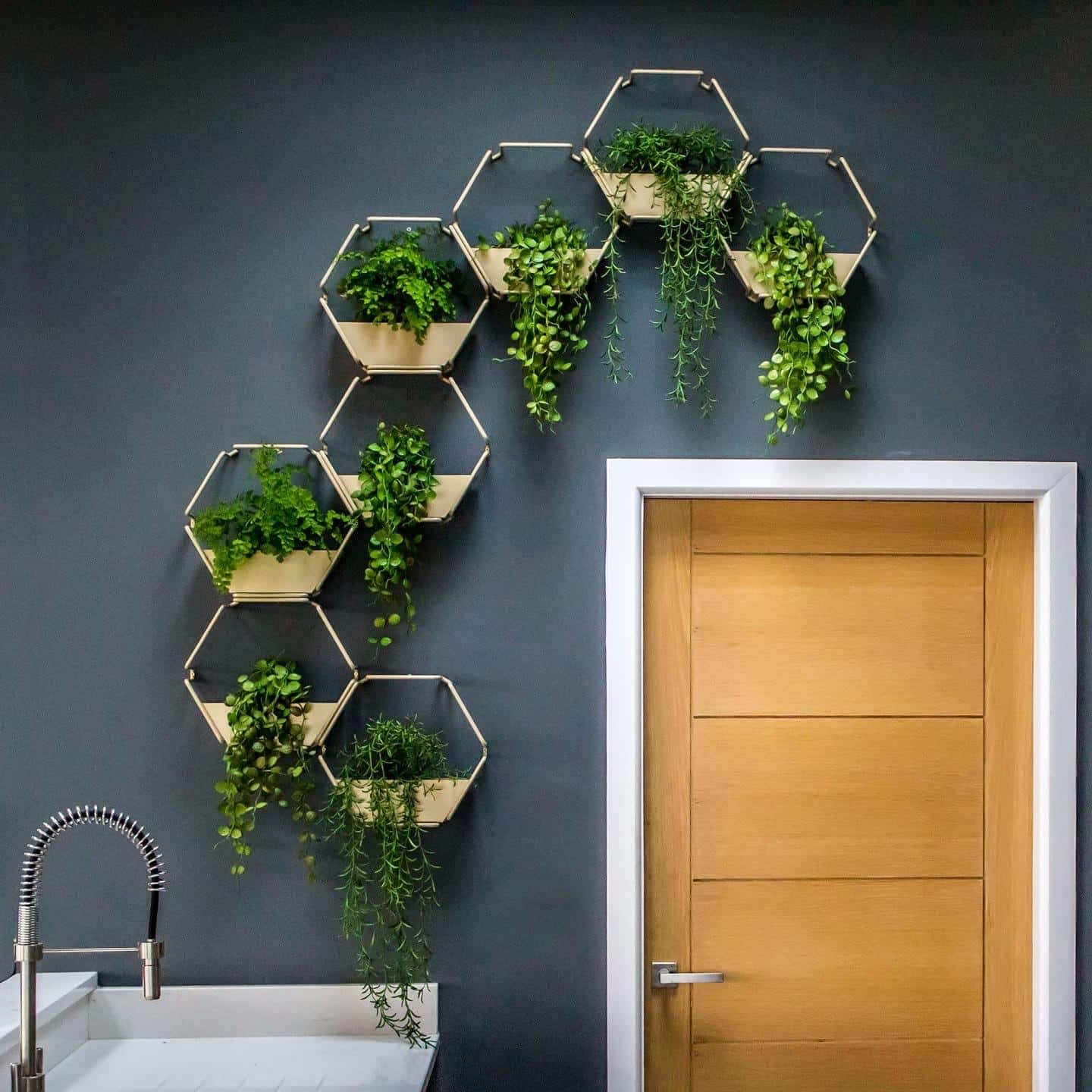 One of Urban B's art pieces which displays several plants in a hexagonal structure trailing across a wall and above a door