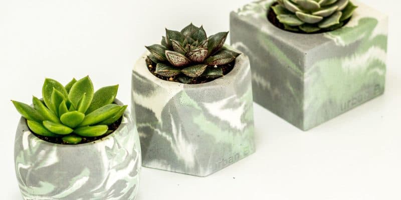 collection of three marbled pots with a succulent in each