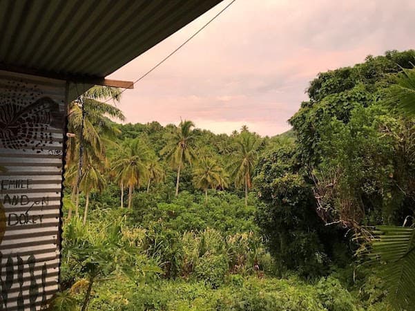 Tropical forest with pink sunset behind it