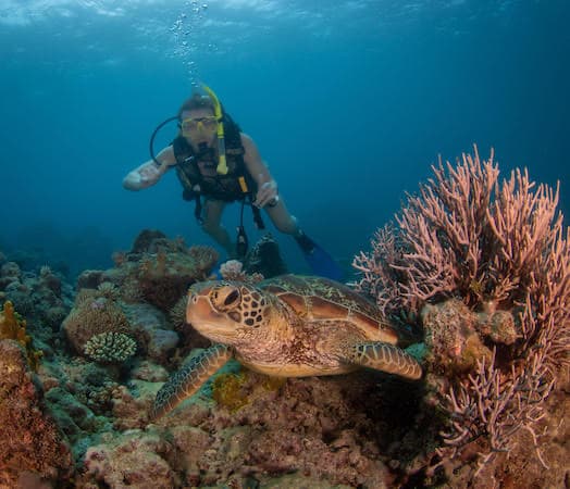 DAYMADE winner, Sam, scuba diving with a turtle