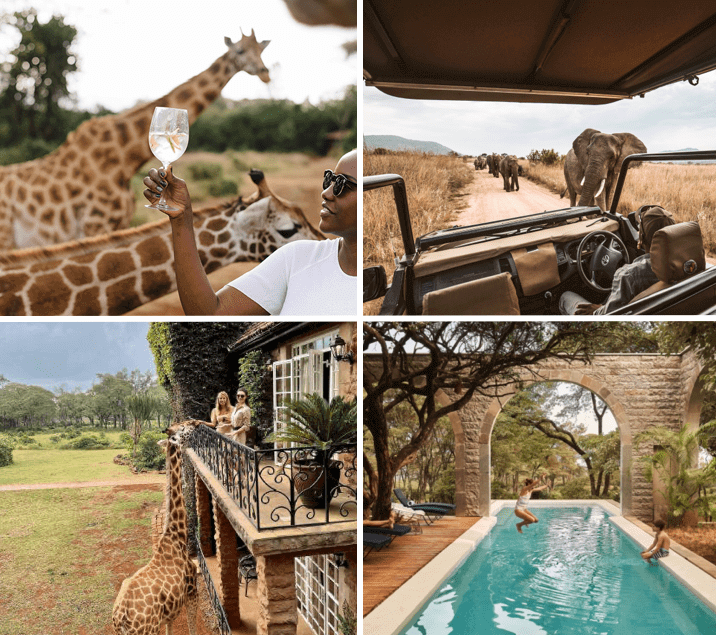 grid of images showing friends and family on safari tour with giraffes and elephants